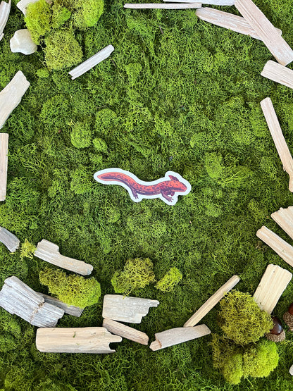 Common Mudpuppy Glossy Sticker