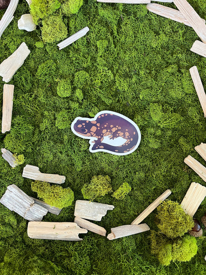 Eastern Tiger Salamander Glossy Sticker