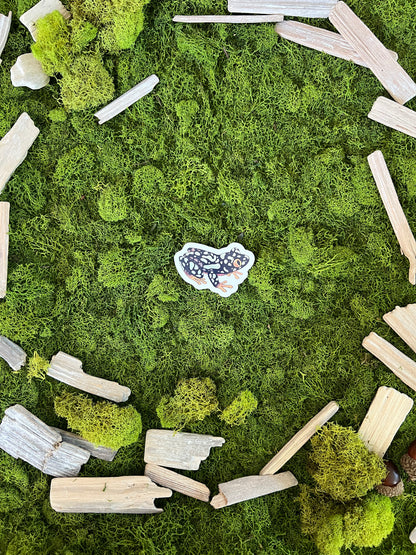 Starry Night Frog Glossy Sticker