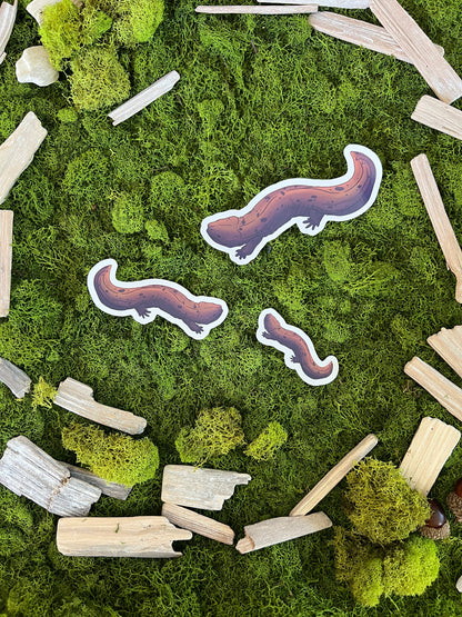 Eastern Hellbender Glossy Sticker