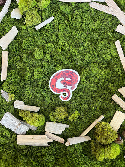 Mexican Climbing Salamander Glossy Sticker