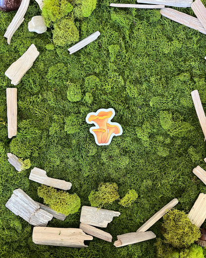 Chanterelle Mushroom Glossy Sticker