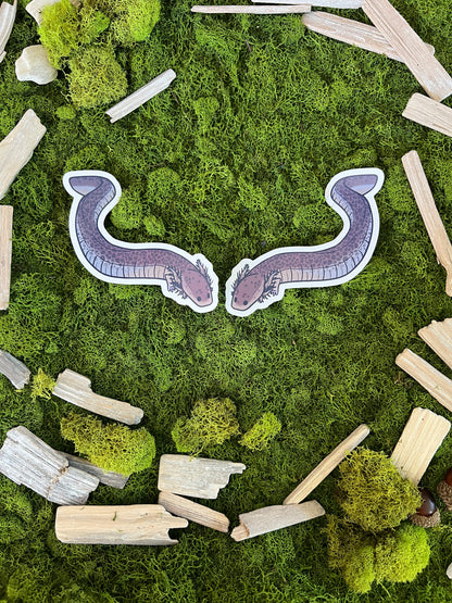 Lesser Siren Glossy Sticker