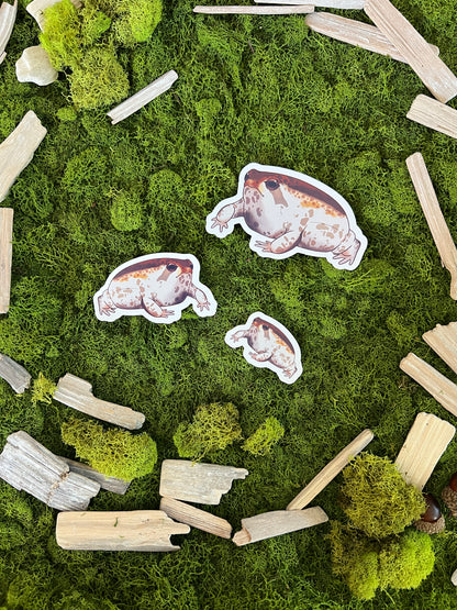Desert Rain Frog Glossy Sticker