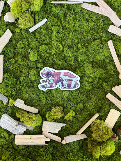 Amazon Milk Frog Glossy Sticker