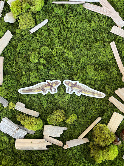 Green Wild Axolotl Glossy Sticker