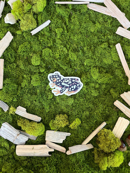 Starry Night Frog Glossy Sticker