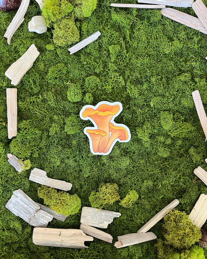 Chanterelle Mushroom Glossy Sticker