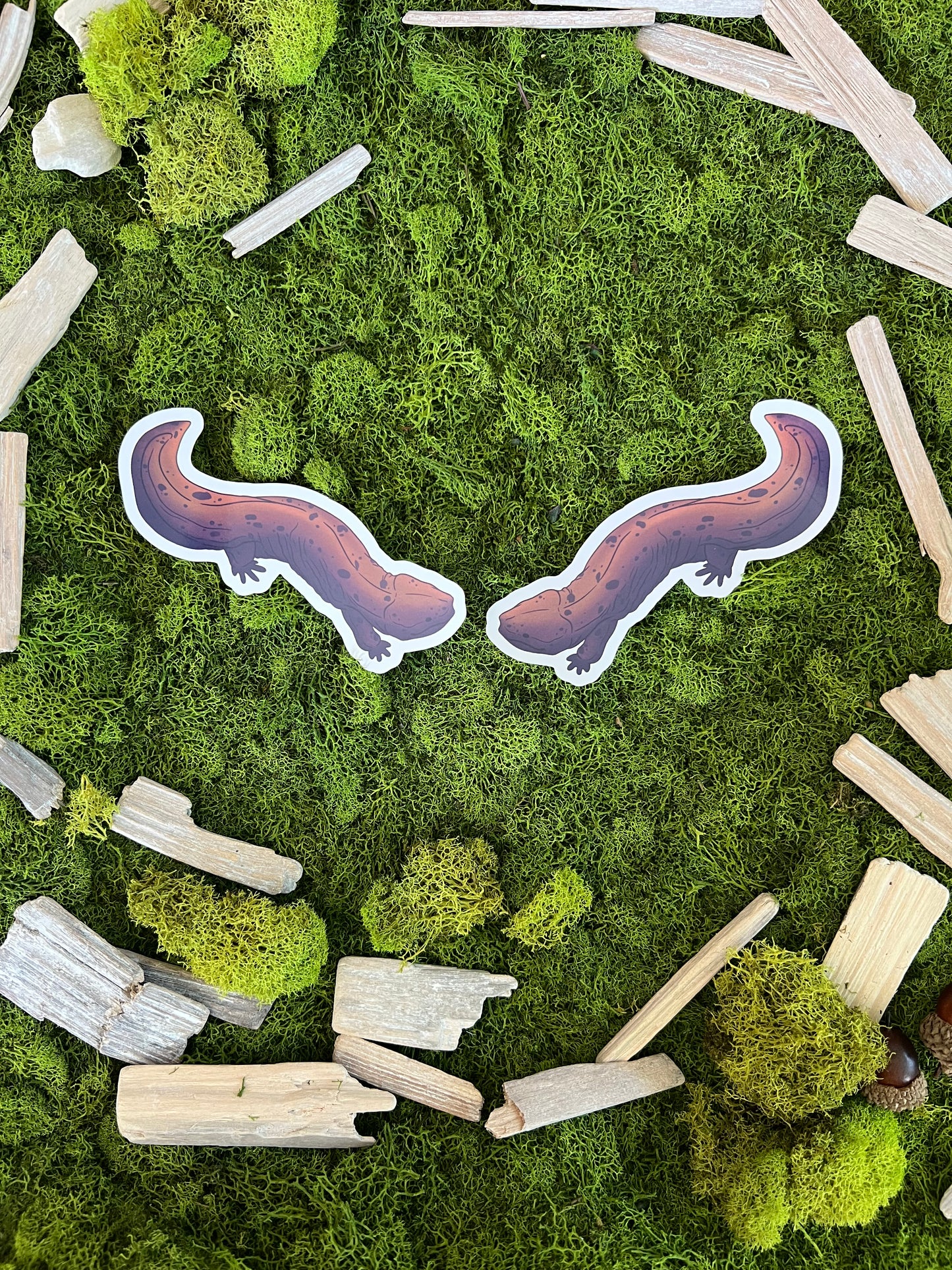 Eastern Hellbender Glossy Sticker