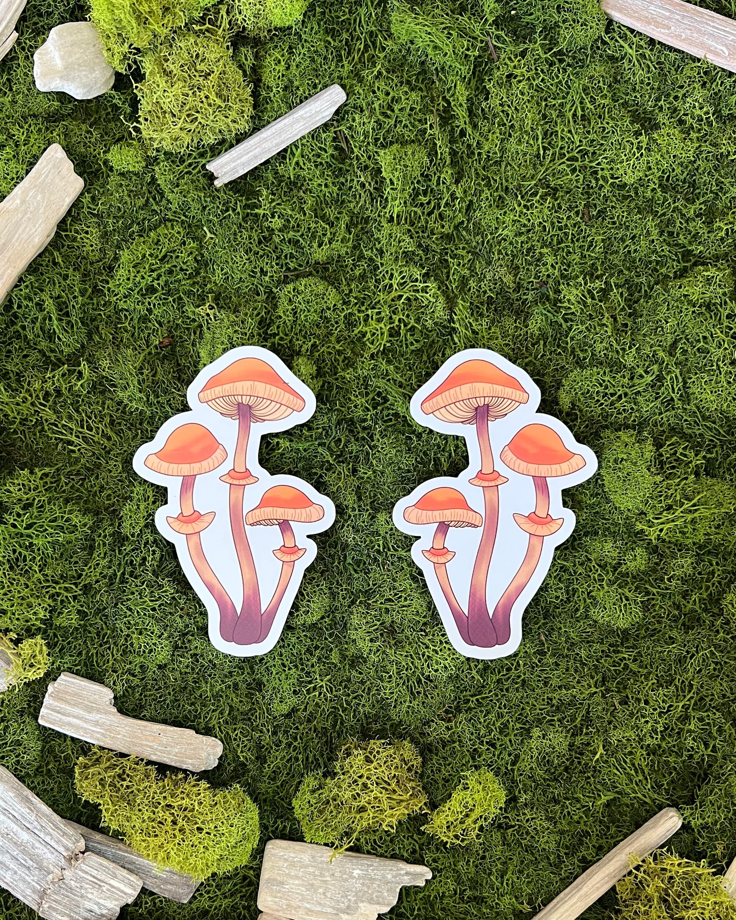 Autumn Skullcap Mushroom Glossy Sticker