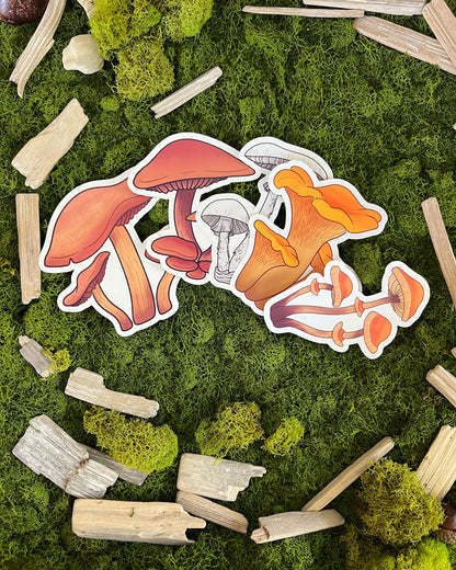 Autumn Skullcap Mushroom Glossy Sticker