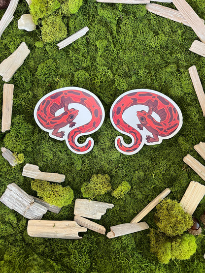 Mexican Climbing Salamander Glossy Sticker