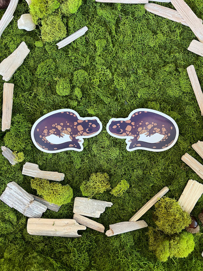 Eastern Tiger Salamander Glossy Sticker