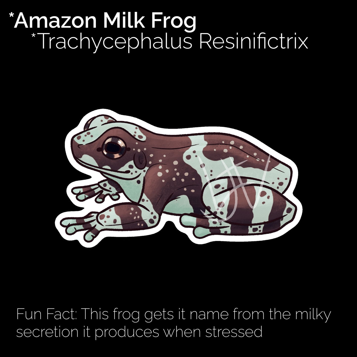 Amazon Milk Frog Glossy Sticker