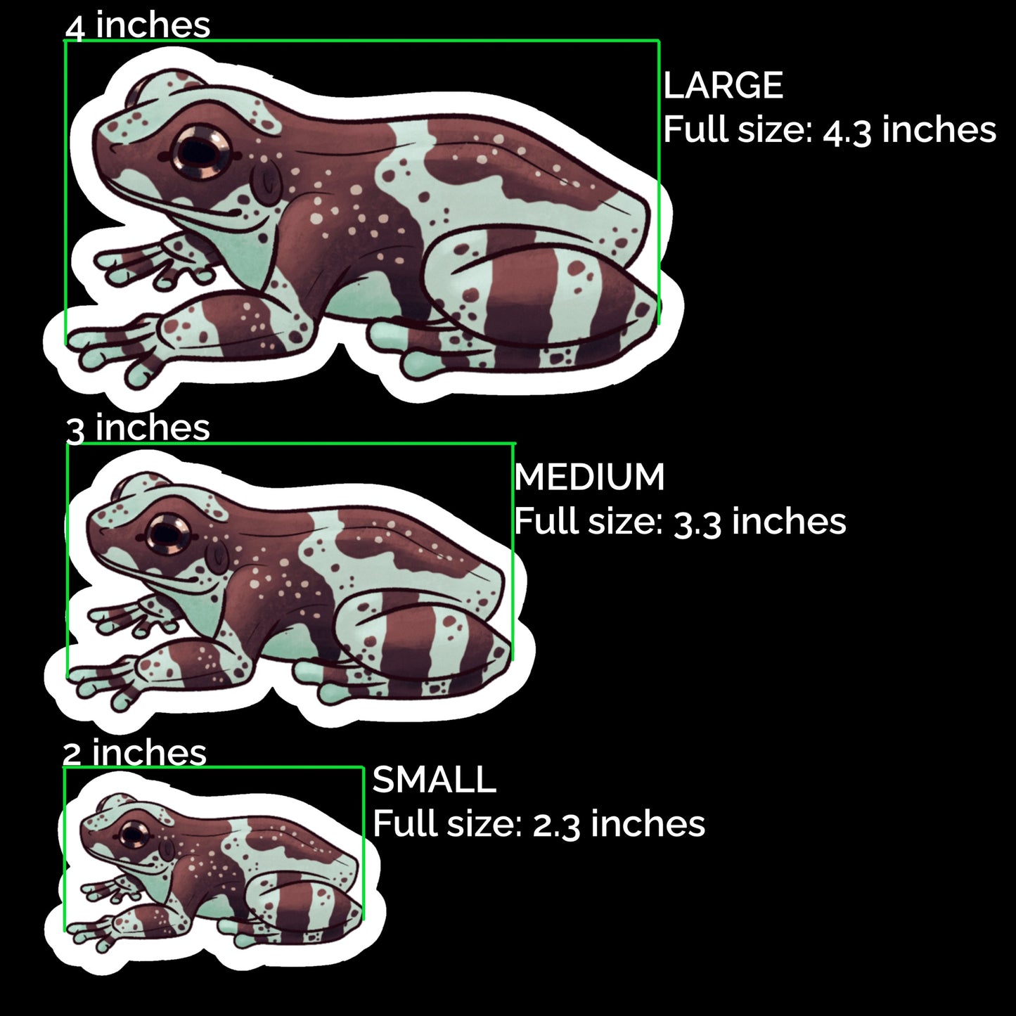 Amazon Milk Frog Glossy Sticker