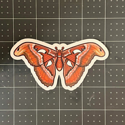 Atlas Moth Glossy Sticker