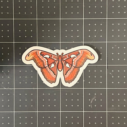 Atlas Moth Glossy Sticker