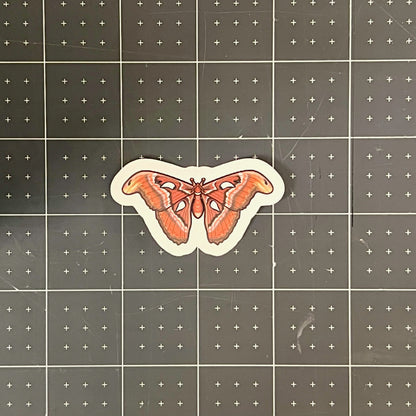 Atlas Moth Glossy Sticker