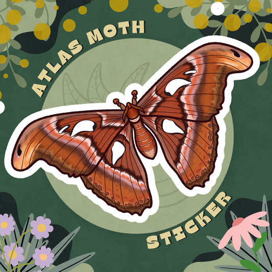 Atlas Moth Glossy Sticker