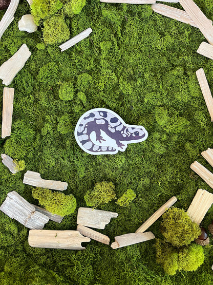 Marbled Salamander Glossy Sticker