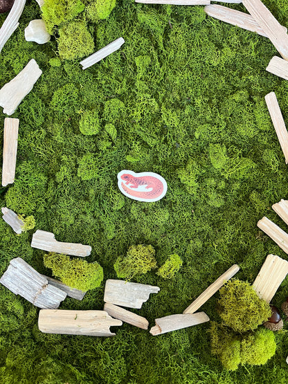 Northern Dusky Salamander Glossy Sticker