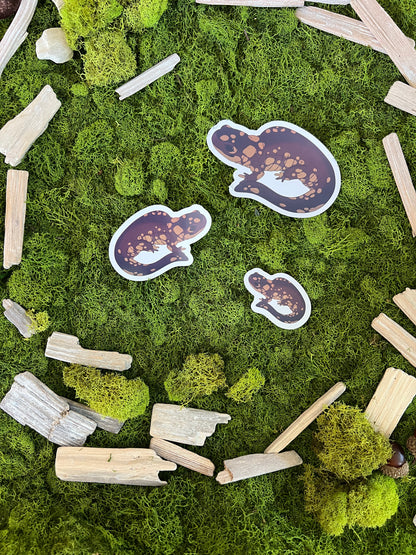 Eastern Tiger Salamander Glossy Sticker