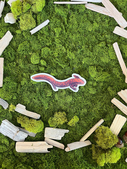 Common Mudpuppy Glossy Sticker