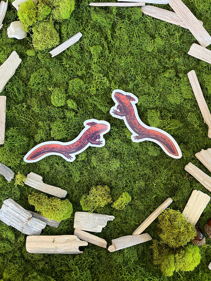 Common Mudpuppy Glossy Sticker