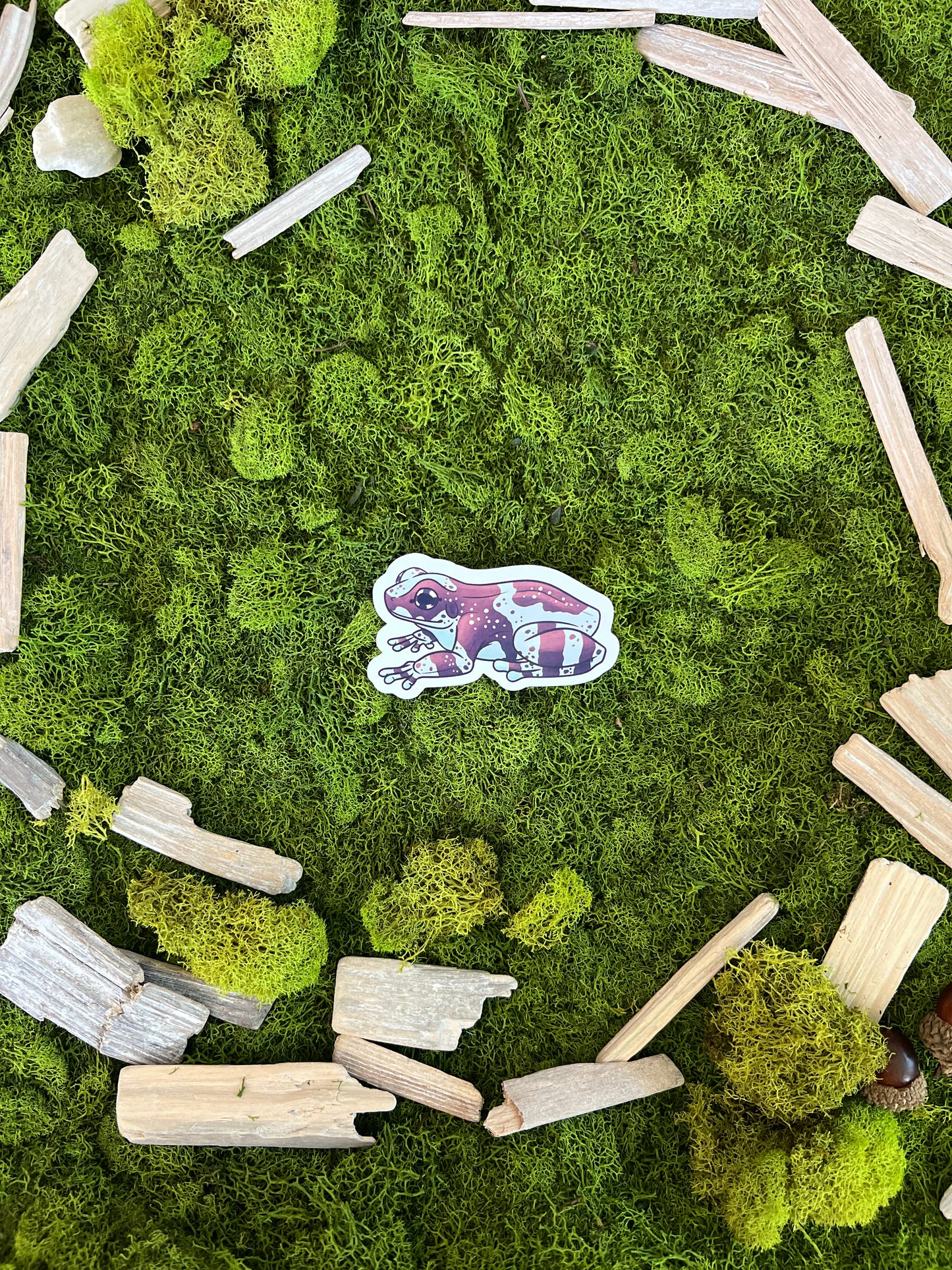Amazon Milk Frog Glossy Sticker