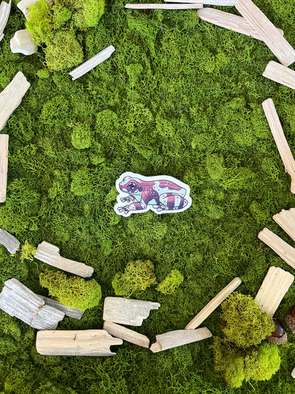 Amazon Milk Frog Glossy Sticker