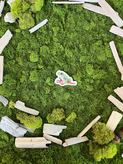 Red-Eyed Tree Frog Glossy Sticker