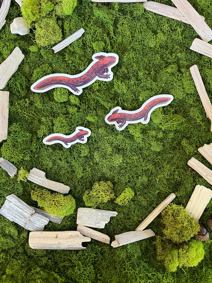 Common Mudpuppy Glossy Sticker