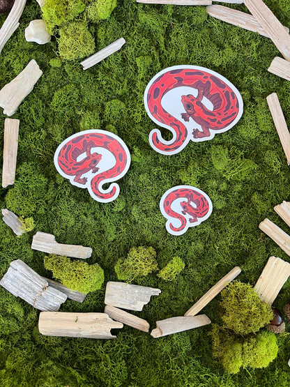 Mexican Climbing Salamander Glossy Sticker