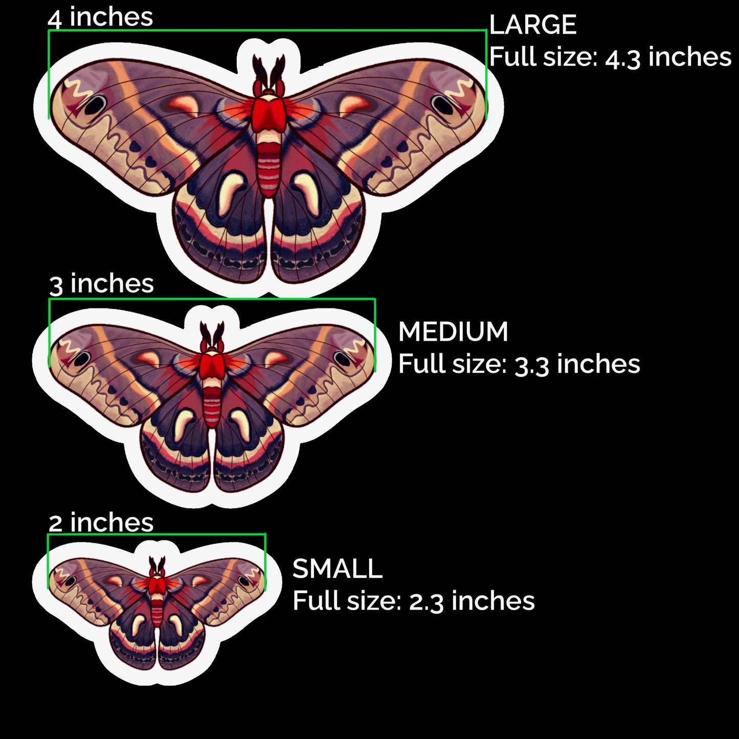 Cecropia Moth Glossy Sticker