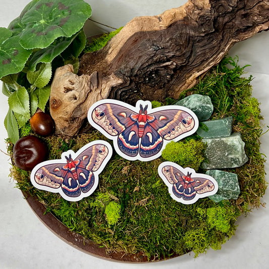 Cecropia Moth Glossy Sticker