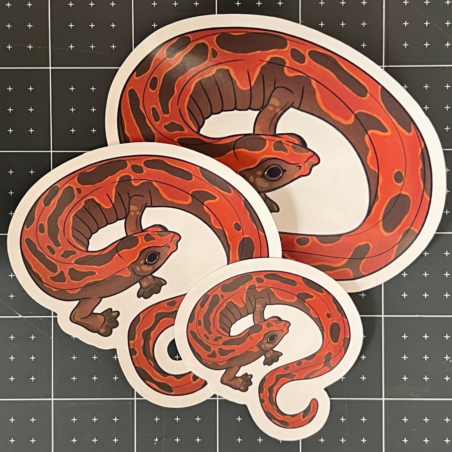 Mexican Climbing Salamander Glossy Sticker