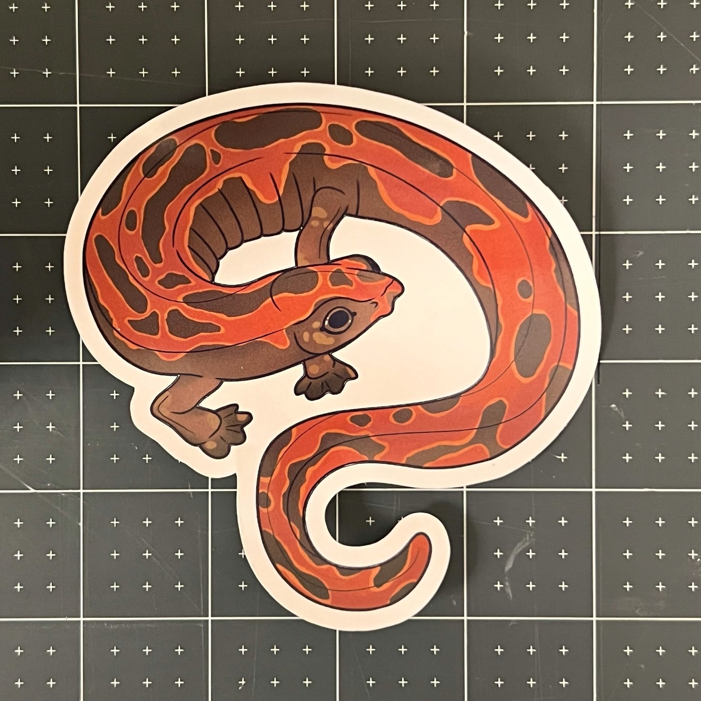 Mexican Climbing Salamander Glossy Sticker