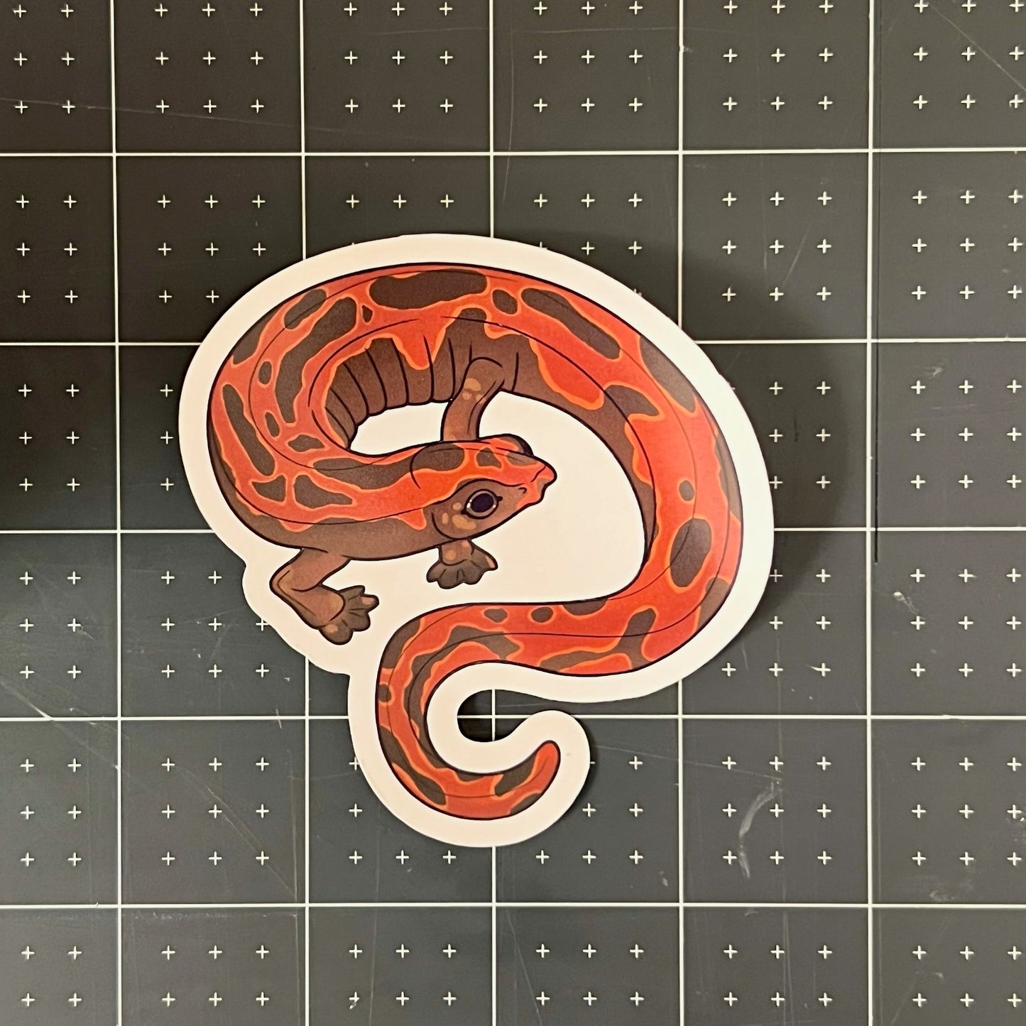 Mexican Climbing Salamander Glossy Sticker