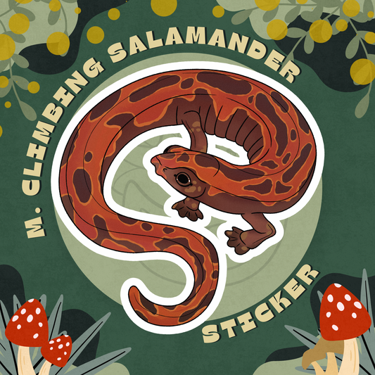 Mexican Climbing Salamander Glossy Sticker