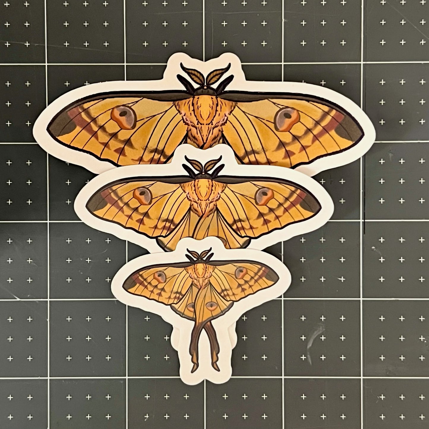 Comet Moth Glossy Sticker