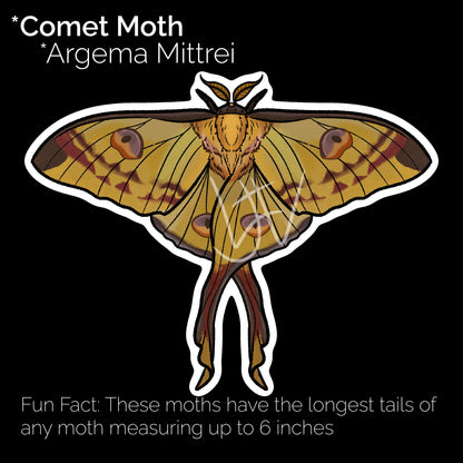 Comet Moth Glossy Sticker
