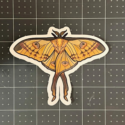 Comet Moth Glossy Sticker