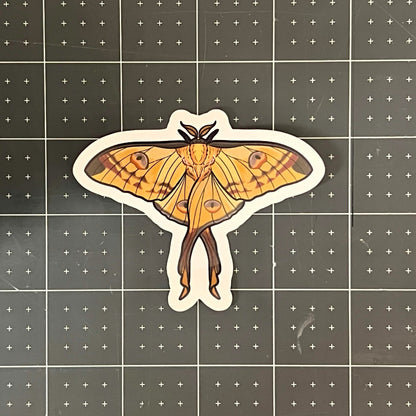 Comet Moth Glossy Sticker