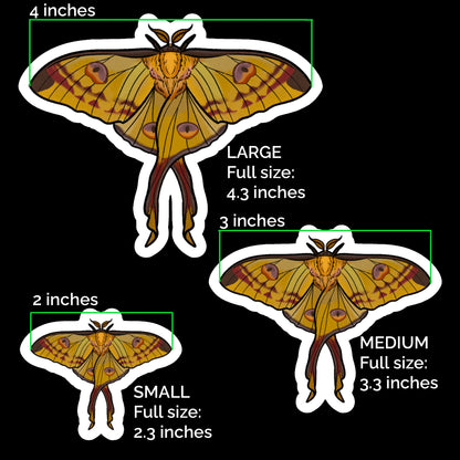 Comet Moth Glossy Sticker