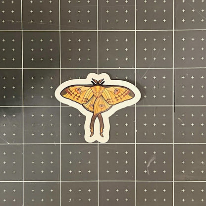 Comet Moth Glossy Sticker