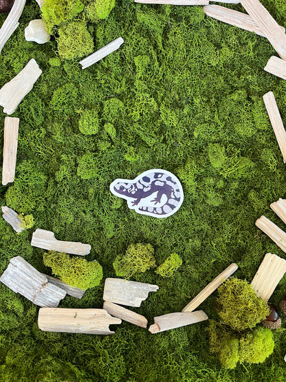 Marbled Salamander Glossy Sticker