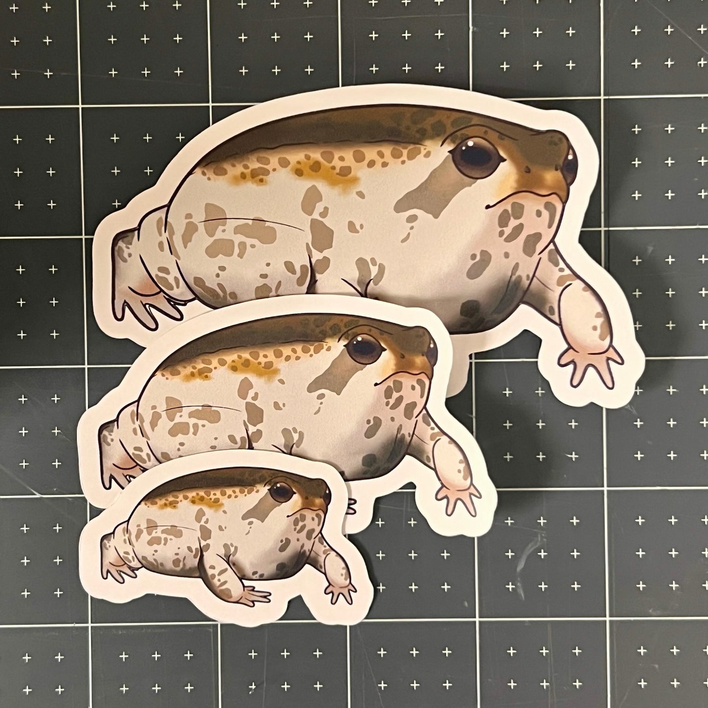 Desert Rain Frog Glossy Sticker