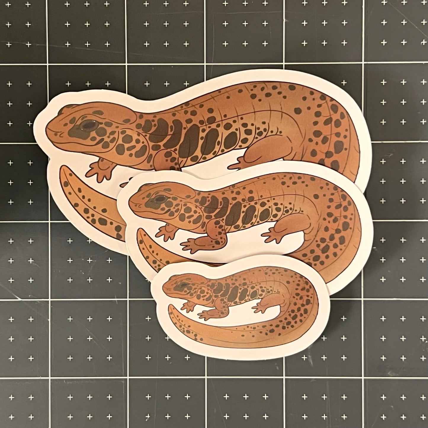 Northern Dusky Salamander Glossy Sticker