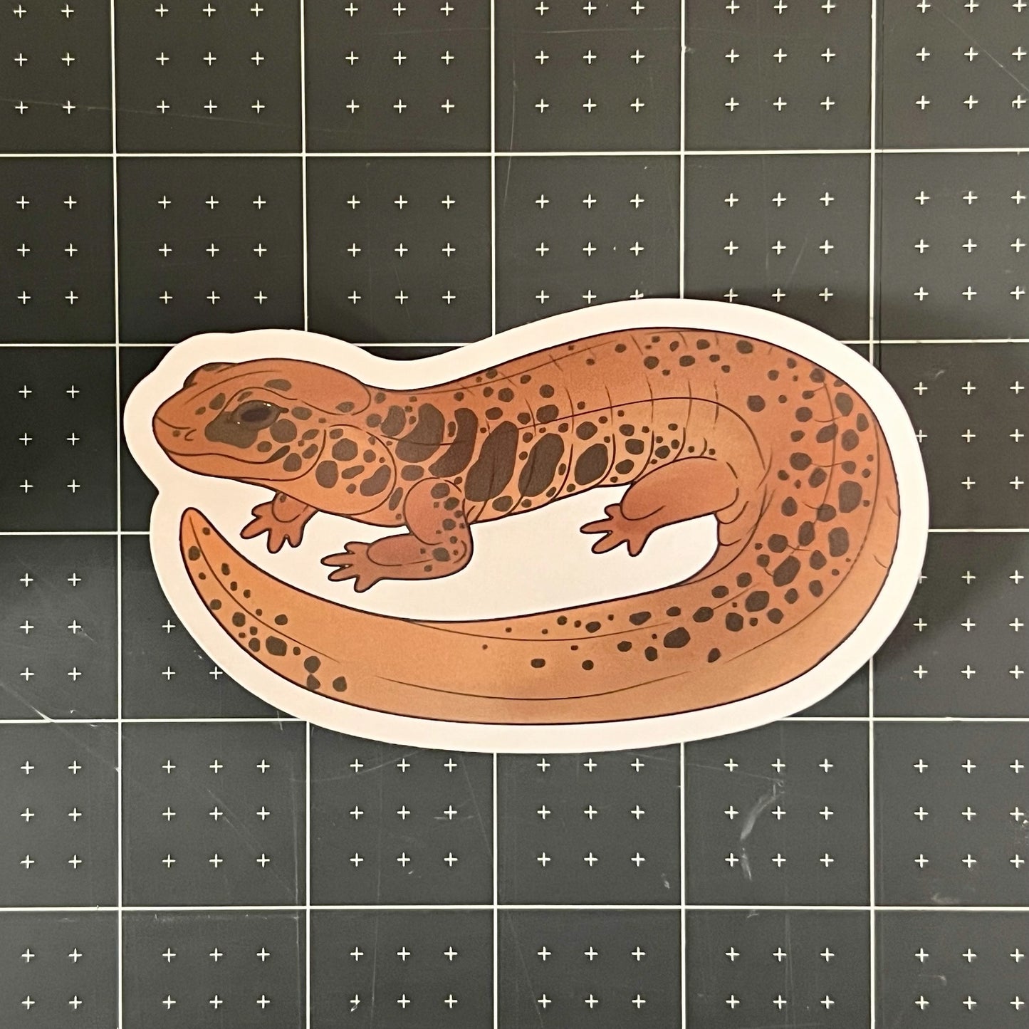 Northern Dusky Salamander Glossy Sticker