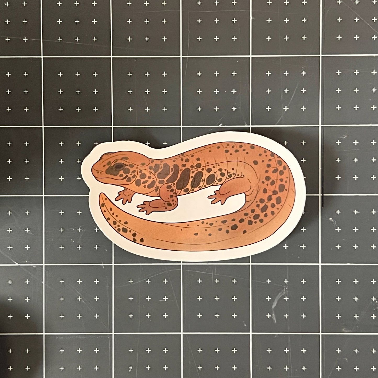 Northern Dusky Salamander Glossy Sticker